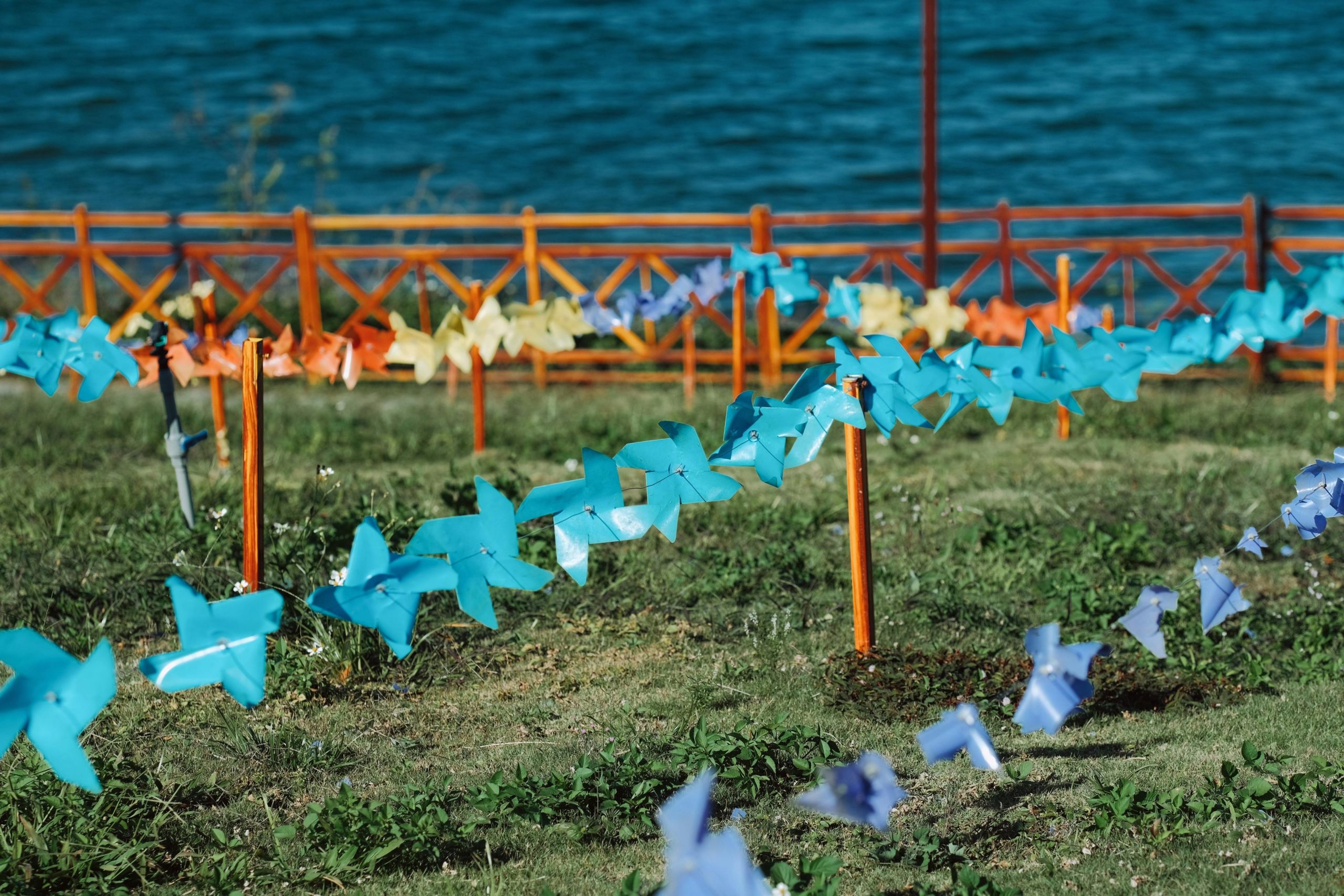 Clôture jardin économique astuces pratiques
